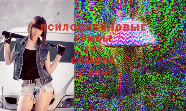 эйфоретик Пересвет