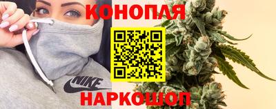 jwh Гатчина