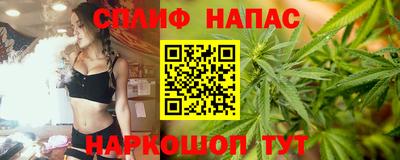 jwh Гатчина
