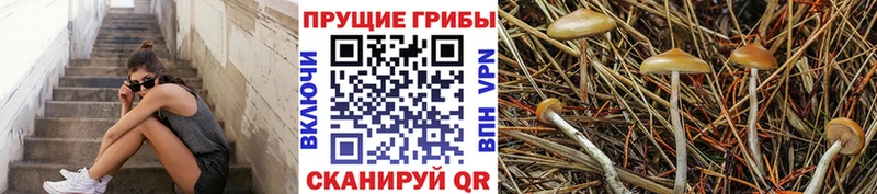 Галлюциногенные грибы мицелий Алексеевка