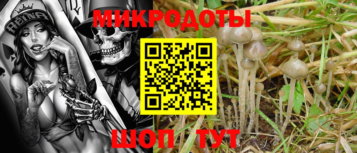 Псилоцибиновые грибы мухоморы  купить   Алексеевка  Вход с VPN  Псилоцибиновые грибы MAGIC MUSHROOMS 