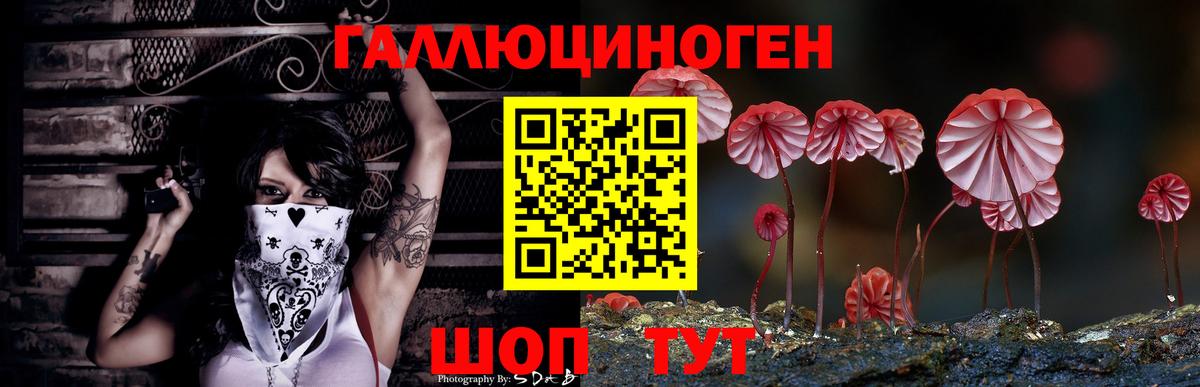 Псилоцибиновые грибы MAGIC MUSHROOMS Алексеевка